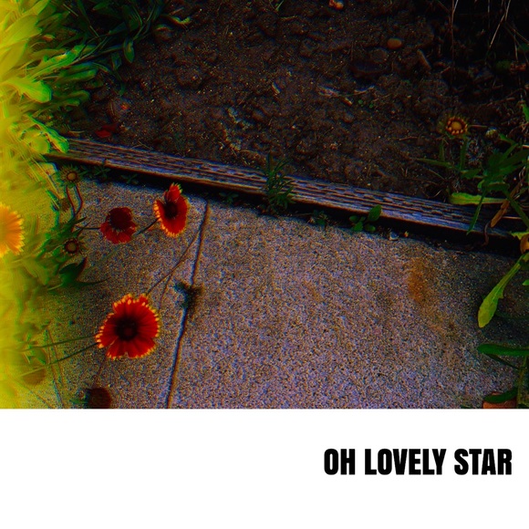 Lovely Star * Photography Art Print - Picture 2 of 5